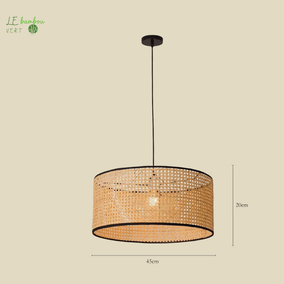 Lustre salon Bambou style Cercla 1005005530551030-A 45cmx20cm-Light bulb not inclu le bambou vert