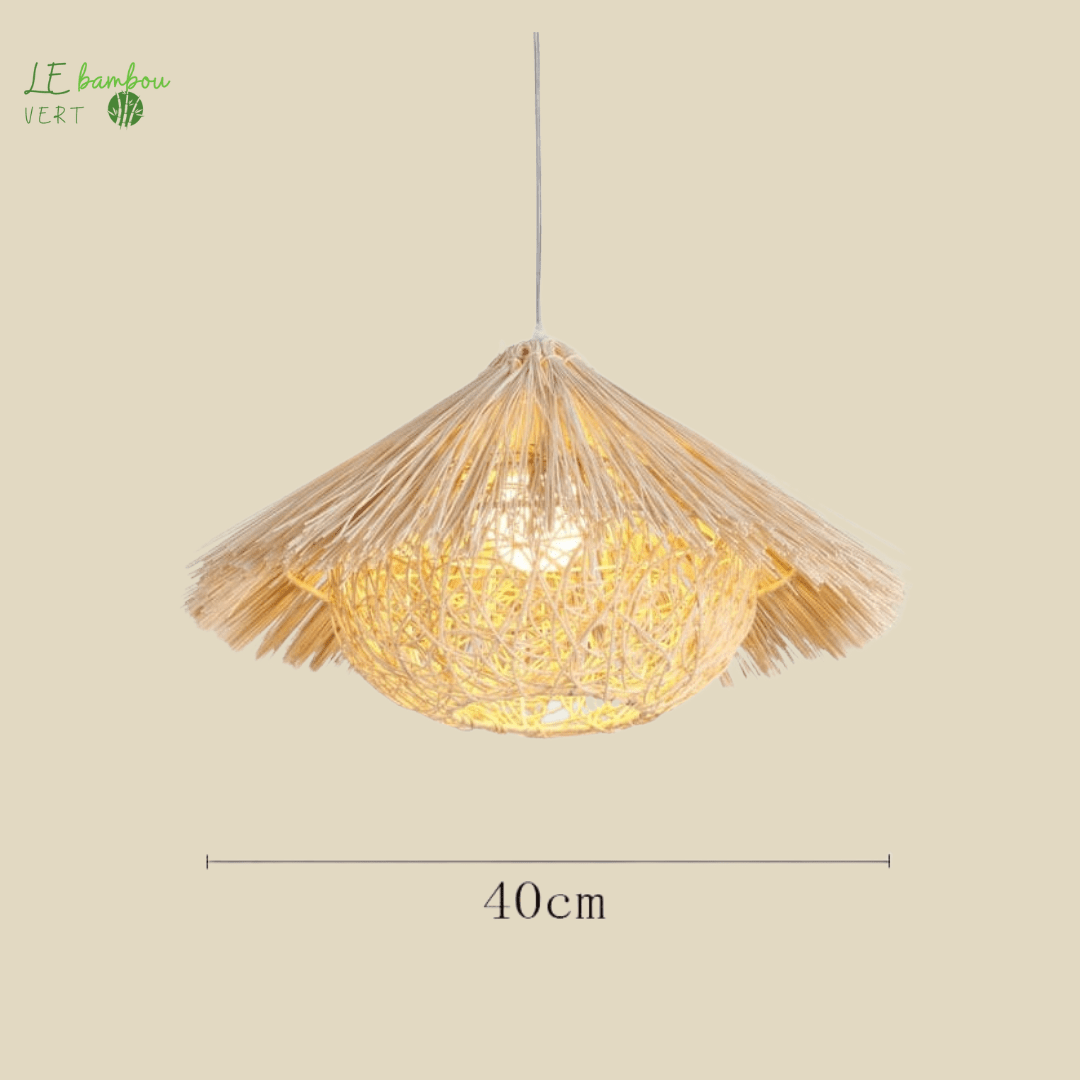 Plafonnier Bambou Style Lanterne de Paille 1005004295843089-Straw Hat A-40CM-No Bulb le bambou vert